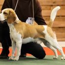 Ch. Pl GRAND MOFF TARKIN from Sith Empire