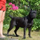 Royal Ambassador GABRIELLA