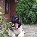 Redtone (FCI) MISSISIPI