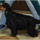 Francini’s LA VIE EST BELLE