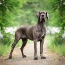 YANDA von der Ofnethöhle