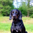 JUTRZENKA FEEK Odszukać Wiatr