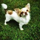 EXCLUSIVE FLOWER ASSOL