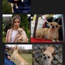 After the Sunset EARLY MORNING 