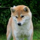 INFINITY CHALLENGE BIYU-SI