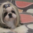 VIKTORIA LALI LOVLY LITTLE DOLL