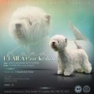 E'LAILA Czar Krakowa