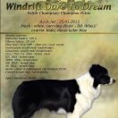 Windrift (FCI) DARE TO DREAM ,,MOLLIE