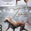 TINA Cool Lady imp. Czechy