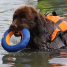 Nortkros WINTER IS COMING