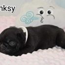 Banksy Tesori del Mare 