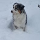 SiYANIE SPUTNIKA BREEZE IN A SUMMER NIGHT