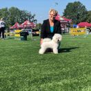 Luxury Love Choconata