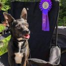 Stars Celebrity Vitalina