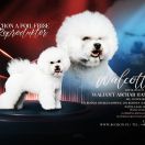 Walcott Aschar Hascikova