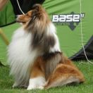  I'M LITTLE BLAZE Lohrien