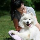 Royal Winter NEW AEON