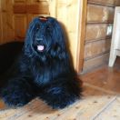 GODDNESS OF MY VICTORY Victory of Love