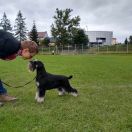 MYSTICAL HERO SMART MUSTACHE 