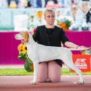 Mypoint's NIGHT DESERT