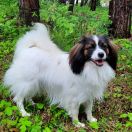 Anabella Beautiful Secrets