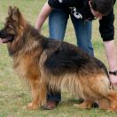 MARILYN MONROE de Domus Didacus