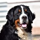 KATHARSSIS Sesto Senso 