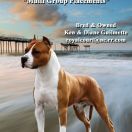 Royal Courts Setting a Standart