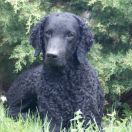 WARRIOR PRINCESS z BasiSfory