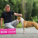 JOŻECHCZUŁA FOR AMERICAN HEART New Radegost 