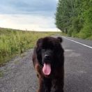 Aquatoriya Kelvin Elfa