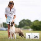 TP RIDER OF THE STORM Canossa