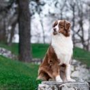 Atika Gorzowska Panorama