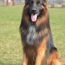 Abarth vom Rikor Team