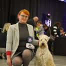 Dom Perignon Soft Party 