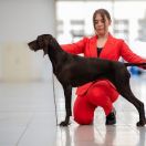 Czita z Radomskiej Ziemi