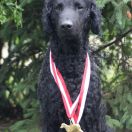 KARNAWAŁOWY TOAST z BasiSfory