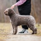 Niña Candela de Rubioalfaro - CIRI