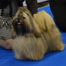 LIN-PEARL'S DANCE WITH ME