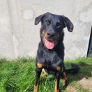 Aoife ze Zlých časů