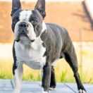 Arczi M Beacon Hill Hołobrzeg