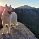 Blue Moon Sweet November 