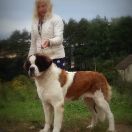 Saint Baronas ARISTO