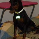 Xtreme Essence di casa Glaunic