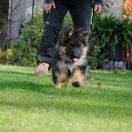 Annie vom Elbtalblick