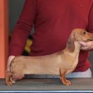 Norden Liht Unreal Beauty