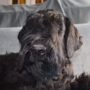 ALUDRA Lovely Freedom