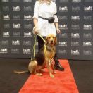 GRADOWA BURZA Element of me 