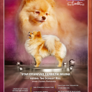 STAR DYUMIVAR ZAMBEZIA SELENA