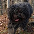 NICCI Au Domaine De PEYCHEC